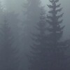 Логотип телеграм канала @peretsmladshi43 — перец младший_⁴³