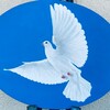 Логотип телеграм канала @perevod_bible — Переводы Библии