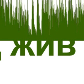 Логотип телеграм канала @perevodzhiv — Перевод жив