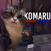 Логотип телеграм канала @perexodnik_komaruuu — Переходник комару
