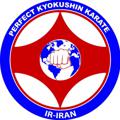 Logo saluran telegram perfect_kyokushin — پرفکت کیوکوشین ایران