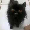 Логотип телеграм канала @permanentamnesiaa — He call me crazy:D