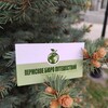 Логотип телеграм канала @permburo — Пермское Бюро Путешествий