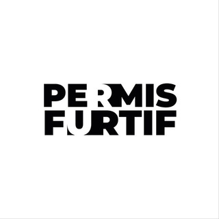 Logo saluran telegram permis_furtif1 — permis Furtif# permis enpoche 🚘🚦