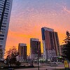 Логотип телеграм канала @permishet — в Перми ищут...