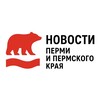 Логотип телеграм канала @permyak59_159 — 🐻ПЕРМЯК | Новости Перми и Пермского Края