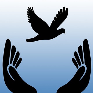 Logo de la chaîne télégraphique perpignanliberte - Perpignan pour la liberté