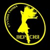 Логотип телеграм канала @persia_dance — Танцы PERSIA_DANCE
