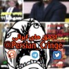 لوگوی کانال تلگرام persian_cringe — احمق های ایرانی | persian cringe