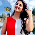 Logo saluran telegram persian_washington — Persian_washington