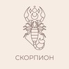 Логотип телеграм канала @personal_scorpio — 🪞Персональный Скорпион