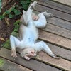 Логотип телеграм канала @personaltrip — Застрял в ЮВА