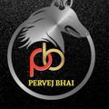 Logo saluran telegram pervejbhai — PERVEJ BHAI 🔥