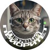 Логотип телеграм канала @perviy_prioritet — Первый приоритет