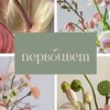 Логотип телеграм канала @pervo_cwet — Первоцвет | ЦВЕТЫ в Самаре