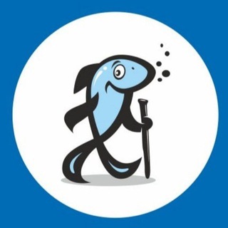Логотип телеграм канала @pescadotravel_channel — PescadoTravel