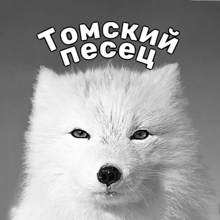 Логотип телеграм канала @pesets_tomsk — Томский песец