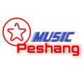 Logo saluran telegram peshangmusic — Peshangmusic☆ پێشەنگ موزیک