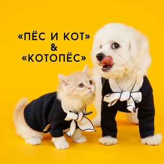 Логотип телеграм канала @pesikotkotopes — «Пёс и Кот» & «Котопёс»