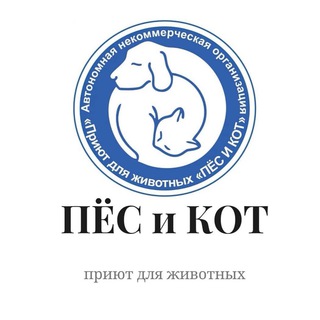 Логотип телеграм канала @pesikotsakh — Приют "Пес и кот" Южно-Сахалинск 🐶🐱