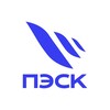 Telegram channel ПЭСК logo