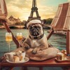 Логотип телеграм канала @pesnasene — Пес на Сене