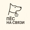 Логотип телеграм канала @pesnasvyazi — Пёс на связи📞