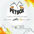 Telegram kanalining logotibi petbox — باشگاه پرورش سگ پت باکس