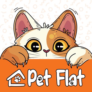 Логотип телеграм канала @petflatpro — PET FLAT