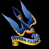 Логотип телеграм -каналу petitiongero — Петиції Герой України