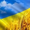 Логотип телеграм -каналу petitionsz — Обмін петиціями🇺🇦