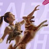 Логотип телеграм канала @petox_detox — PETOX Community🐾
