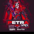 Telegram channel PETRA GAMER logo