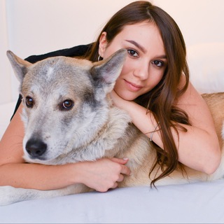 Логотип телеграм канала @pets_by_katerina — PETS BY KATERINA | валяние