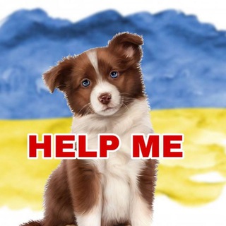 Логотип телеграм -каналу pets_share_kyiv — 🆘🐾ANIMALS / Київ