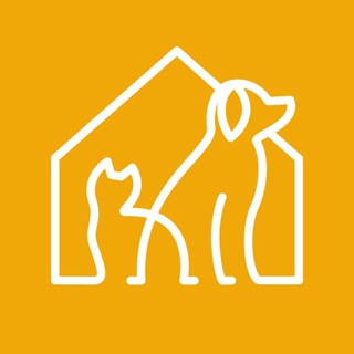 Логотип телеграм канала @pets_vl — Животные города_В
