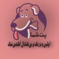 لوگوی کانال تلگرام petshoma — 𝙋𝙀𝙏 𝙎𝙃𝙊𝙈𝘼 (پت شما)
