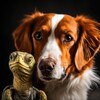Логотип телеграм канала @petsnord — Северный друг