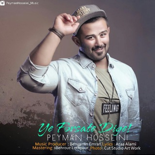 لوگوی کانال تلگرام peymanhosseinimusic — Peyman Hosseini Music