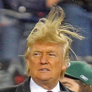 Logo of telegram channel pfff_funny_memes_gifs — Trump's Haircut (fun, memes, gifs, pew)