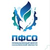 Логотип телеграм канала @pfso2024 — Промышленный форум Сахалинской области