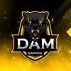 Логотип телеграм канала @pgdamgaming — DAM GAMING 2.0