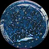 Логотип телеграм канала @philologists_talks — Филолог_ини говорят