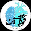 Telegram channel 『 فودوشین 』 logo