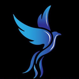 Logo of telegram channel phoenixcap — 𝐏𝐇𝐎𝐄𝐍𝐈𝐗 𝐂𝐑𝐄𝐄𝐃