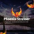 Logo saluran telegram phoenixstresser — Сосет ЧАПА