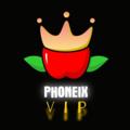 Logo saluran telegram phoneix_vip — 🕸PHoneiX ViP🕸