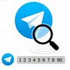 Logo of telegram channel phonenumberauthenticitycheck — Bulk CoinW Checker