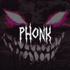 Логотип телеграм канала @phonk_458 — АРХИВ PHONK/МУЗЫКА