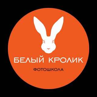 Логотип телеграм канала @photo_krolik — Фотошкола Белый Кролик